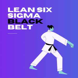 Lean Six Sigma Black Belt Course